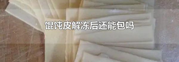 馄饨皮解冻后还能包吗