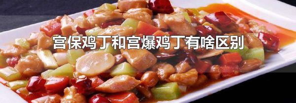 宫保鸡丁和宫爆鸡丁有啥区别