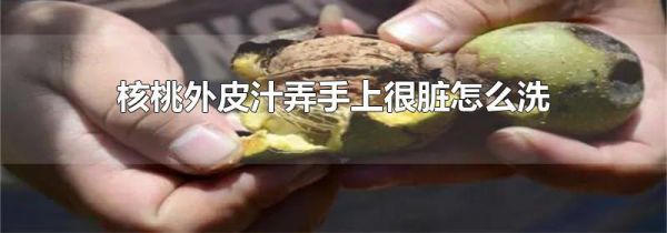 核桃外皮汁弄手上很脏怎么洗