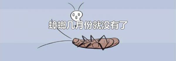 蟑螂几月份就没有了