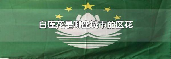 白莲花是哪座城市的区花