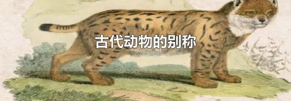 古代动物的别称