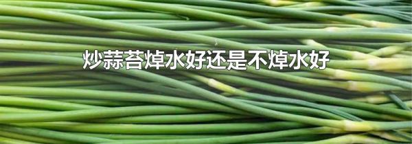 炒蒜苔焯水好还是不焯水好