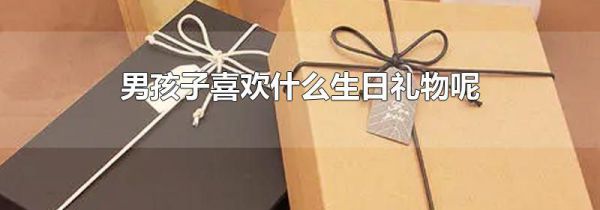 男孩子喜欢什么生日礼物呢