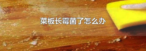 菜板长霉菌了怎么办