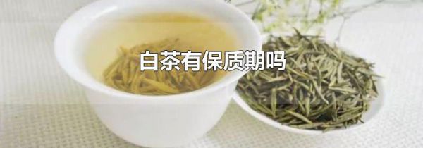 白茶有保质期吗