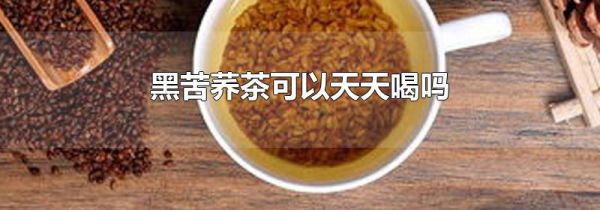 黑苦荞茶可以天天喝吗