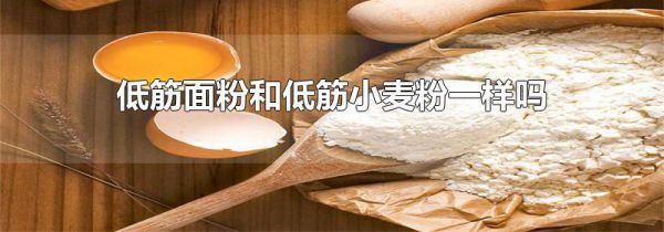 低筋面粉和低筋小麦粉一样吗
