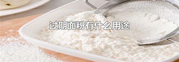 过期面粉有什么用途