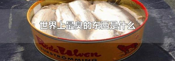 世界上最臭的东西是什么