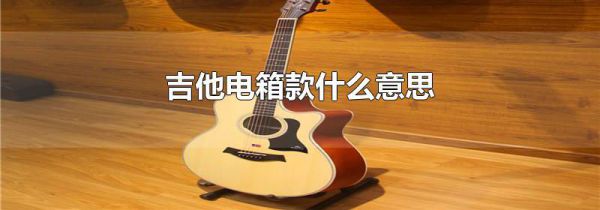 吉他电箱款什么意思