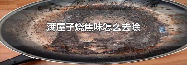 满屋子烧焦味怎么去除
