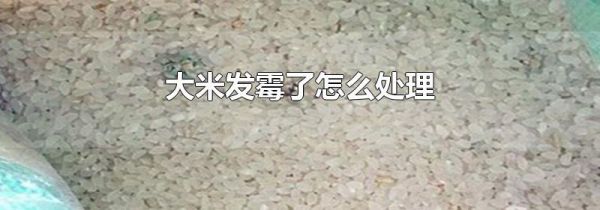 大米发霉了怎么处理