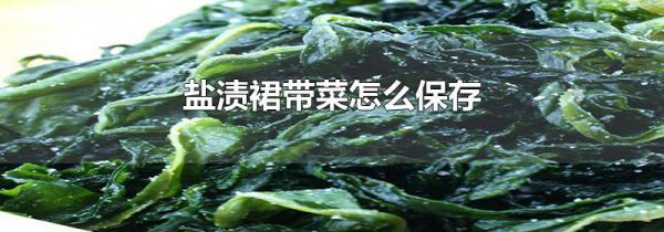 盐渍裙带菜怎么保存