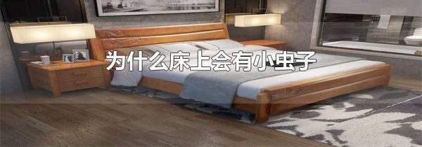 为什么床上会有小虫子
