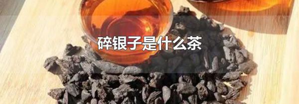 碎银子是什么茶