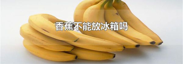 香蕉不能放冰箱吗