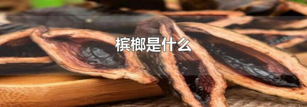 槟榔是什么