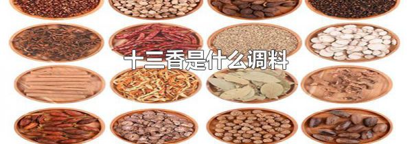 十三香是什么调料