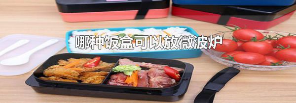 哪种饭盒可以放微波炉
