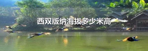 西双版纳海拔多少米高