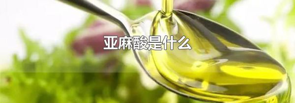 亚麻酸是什么