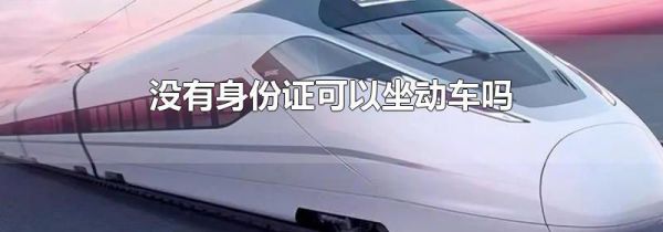 没有身份证可以坐动车吗