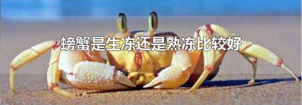 螃蟹是生冻还是熟冻比较好