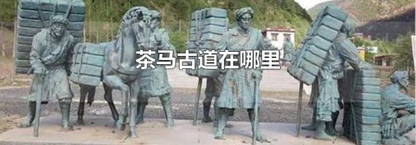 茶马古道在哪里