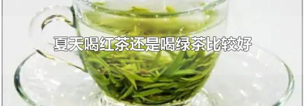 夏天喝红茶还是喝绿茶比较好