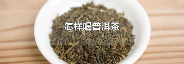 怎样喝普洱茶