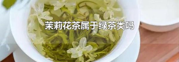 茉莉花茶属于绿茶类吗