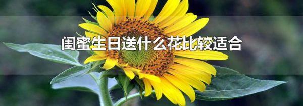 闺蜜生日送什么花比较适合