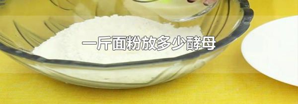 一斤面粉放多少酵母
