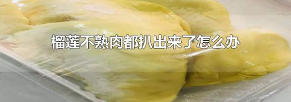 榴莲不熟肉都扒出来了怎么办