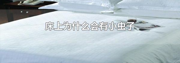 床上为什么会有小虫子