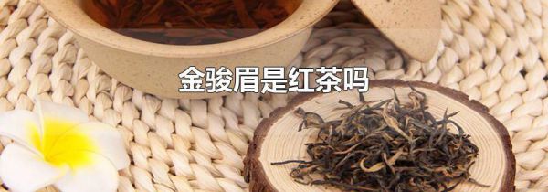 金骏眉是红茶吗