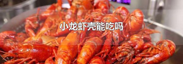 小龙虾壳能吃吗