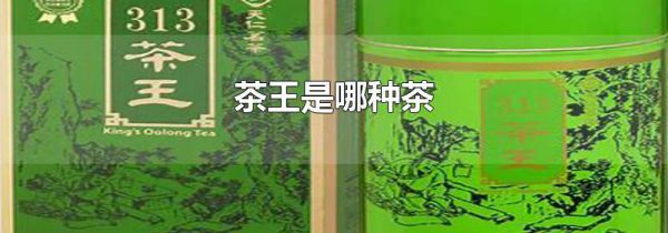 茶王是哪种茶