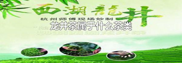 龙井茶属于什么茶类