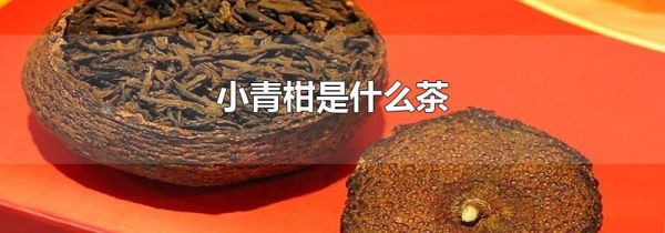 小青柑是什么茶