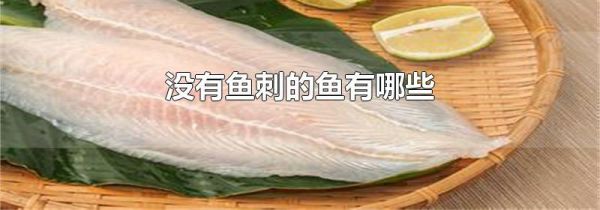 没有鱼刺的鱼有哪些