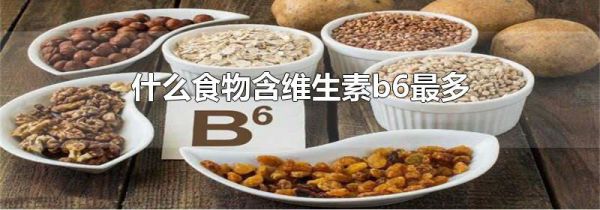 什么食物含维生素b6最多
