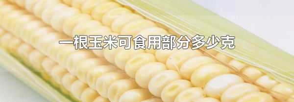 一根玉米可食用部分多少克