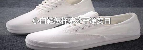 小白鞋怎样洗才干净变白