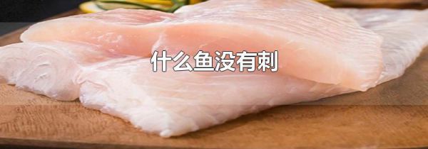 什么鱼没有刺