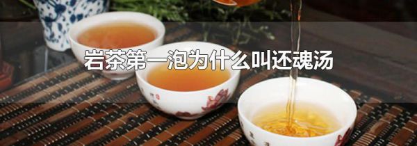 岩茶第一泡为什么叫还魂汤