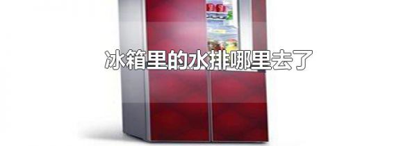 冰箱里的水排哪里去了