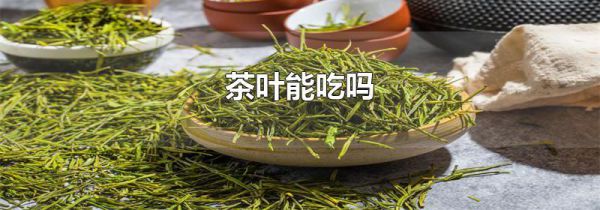 茶叶能吃吗