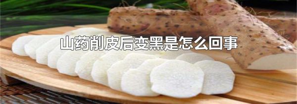山药削皮后变黑是怎么回事